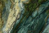 Polished Gary Green Jasper (Larsonite) Bog Wood Section - Oregon #370999-1